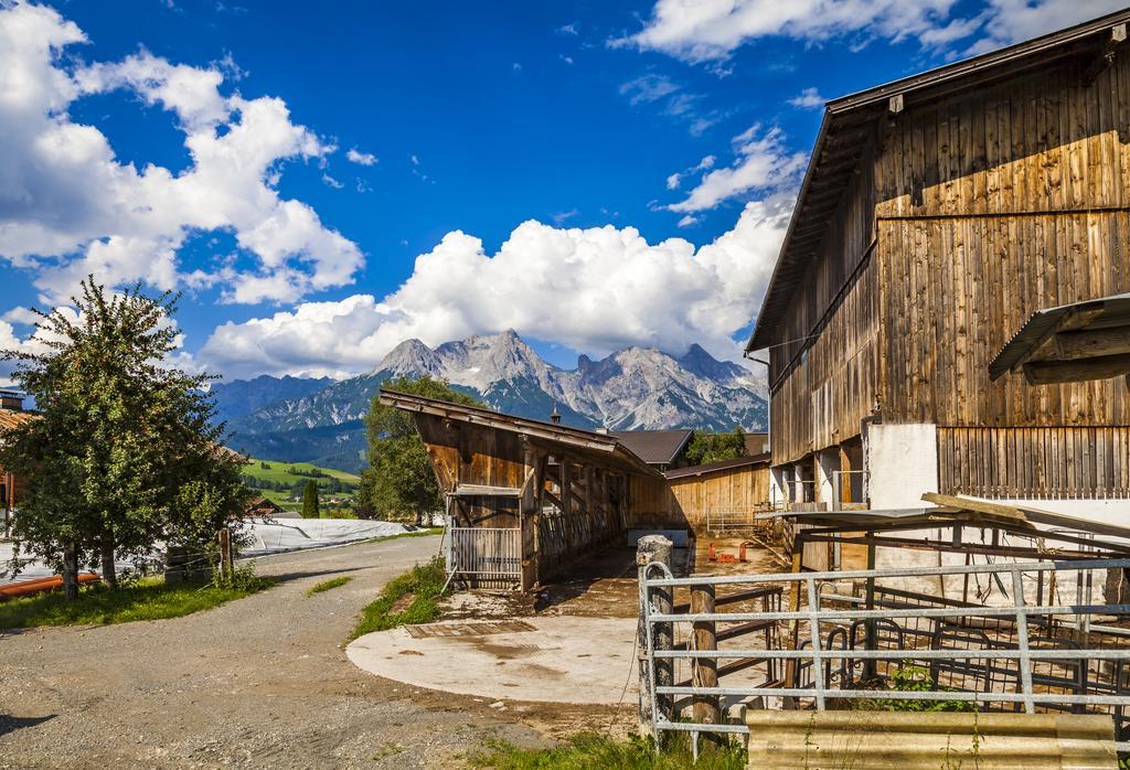 Ferienwohnung Oergenbauer Saalfelden am Steinernen Meer Kültér fotó